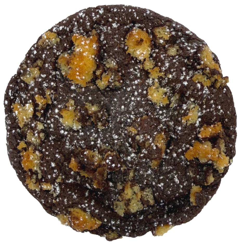 Chocolate Frosted Donut