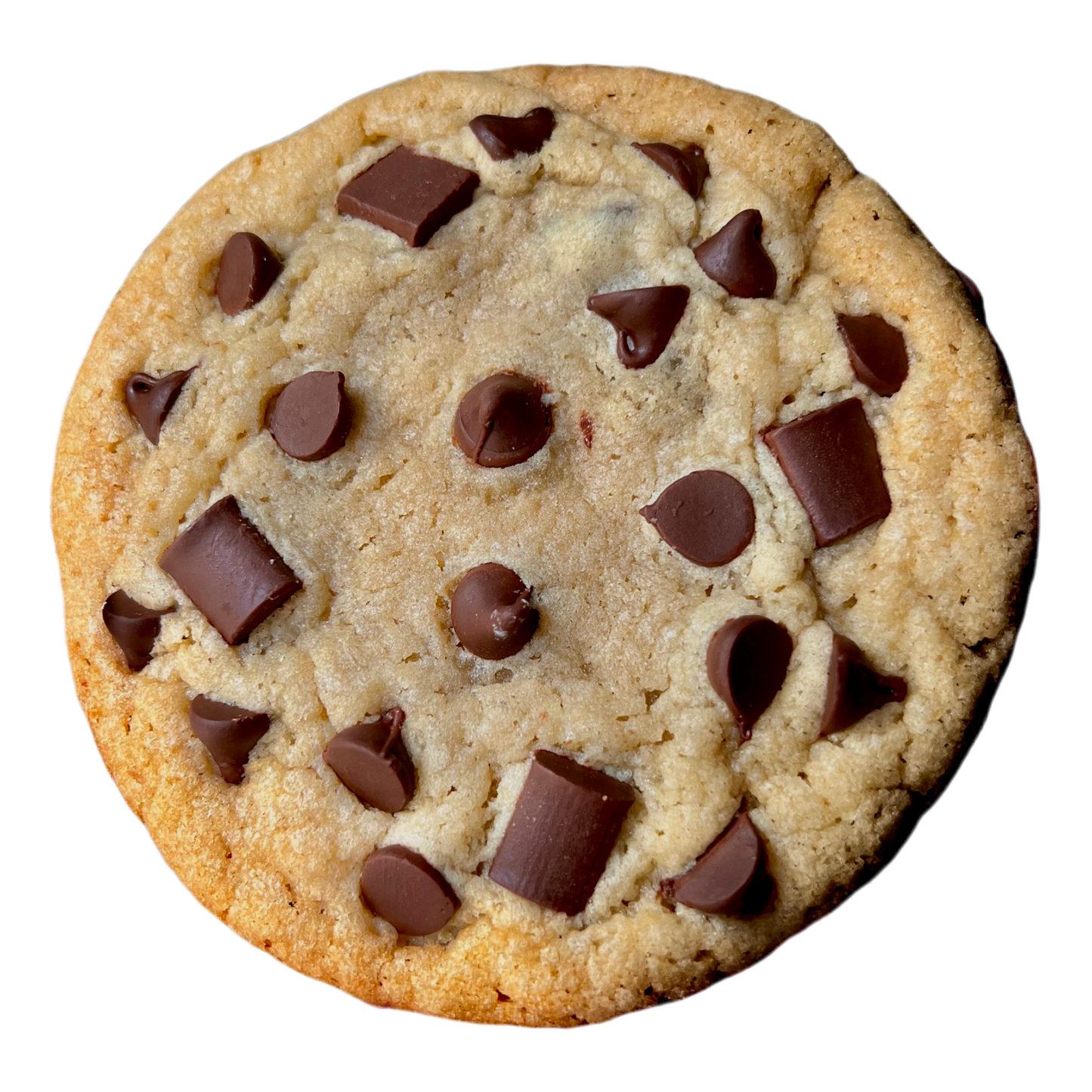 Chocolate Chip
