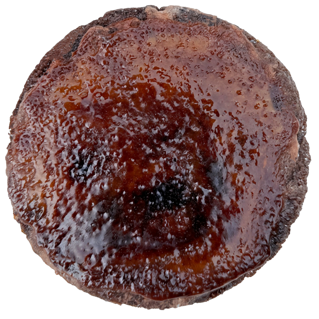 Chocolate Brûlée
